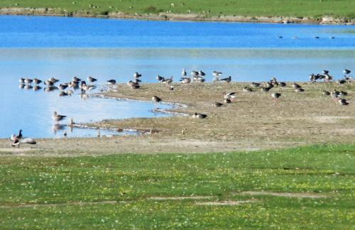 Haus Halligblick - Foto 35