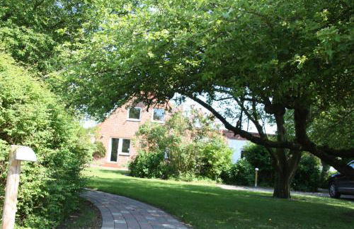 Feldlerche - Foto 12