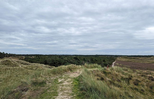 6 Person Holiday Home in Thyholm-by Traum - Photo 13