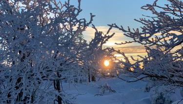 Ferienhaus Tooren - Foto 4
