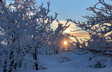 Ferienhaus Tooren - Foto 4