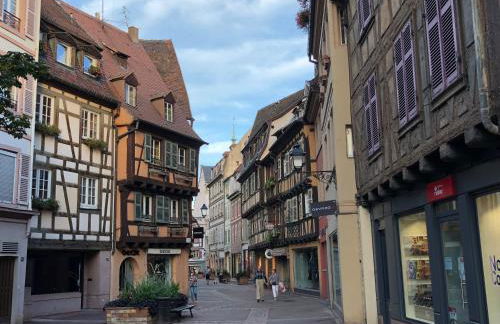 Les Suites Du Cygne - Foto 42