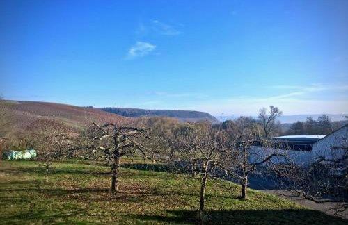 Golfblick - Foto 5