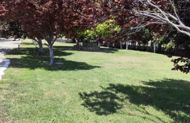 Marianna's Home - Foto 1