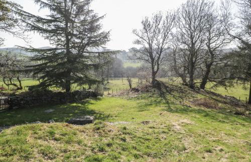 Old Ty'n Y Wern - Foto 29