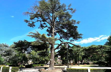 Le Cocon proche Paris JO 2024 Centre-ville - Foto 30