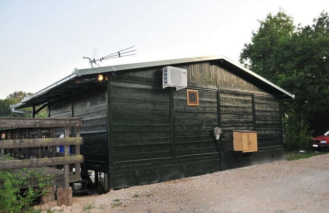 Caushi Studio Ada Bojana - Foto 8