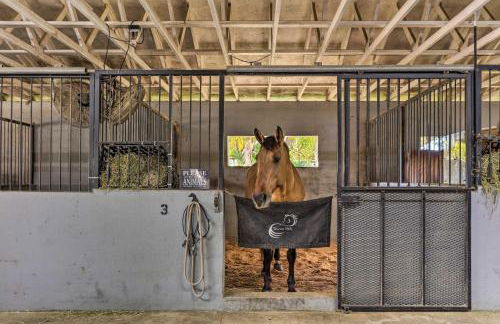 Rustic Palm City Vacation Rental on Horse Farm - Photo 19