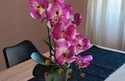 Il Sole Dentro Holiday Home - Foto 17