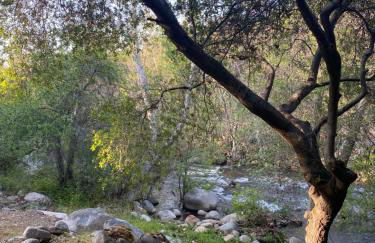 RiverFront Retreat- Spa/Hot tub, Game Room, Limited Gym - Foto 36