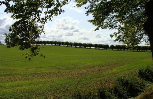 Lavish Apartment in Klütz near Beach - Foto 72