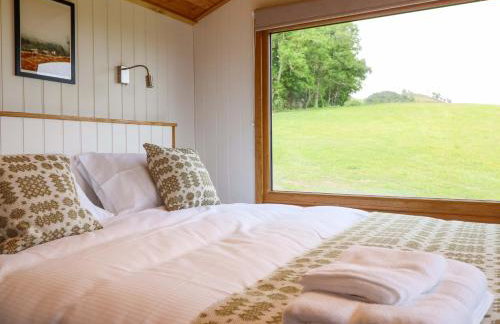 Defaid Cymreig - Foto 11