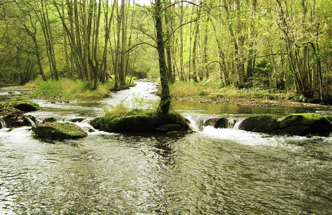 Mountain Retreat for Group - Photo 36