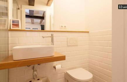 Ramblas Apartment Central BCN - Photo 5