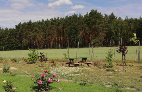 Zielona Przystań - Foto 7