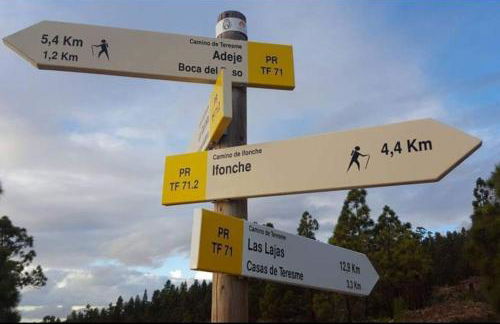 Casa Tía Rosa. - Foto 22