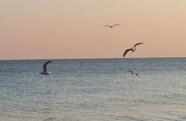 MAGIA Salento - Foto 45