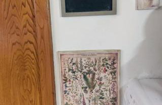 La Bouganville e Il Gelsomino - Foto 68