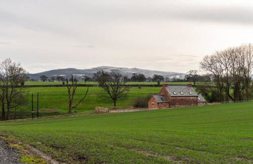 The Patches - Foto 112