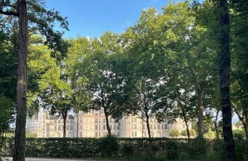 LE CEDRE Maison bord de LOIRE 4 - Foto 37