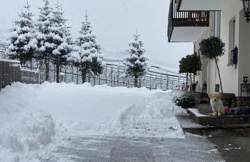 Residence Margreth - Foto 77