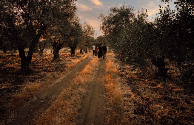 Cata de vinos en la bodega Etna Urban - Foto 3
