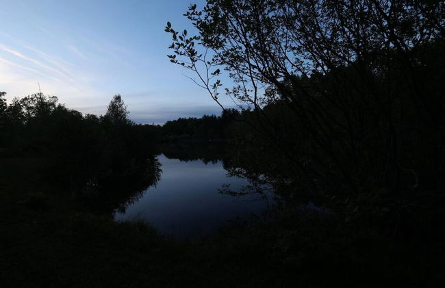 Modern Farm Home 2hr NYC BOS Peaceful Wifi - Foto 44