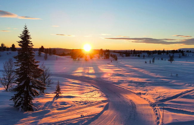 Modern Mountain Cabin - 3 Bedrooms - Sleeps 7 - Foto 38