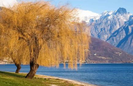 Rustico Maria Full House Lake View Escape - Foto 55