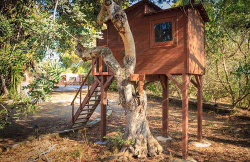 El Maset de Torredembarra - Foto 36