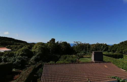 Quinta do Areeiro - Foto 16