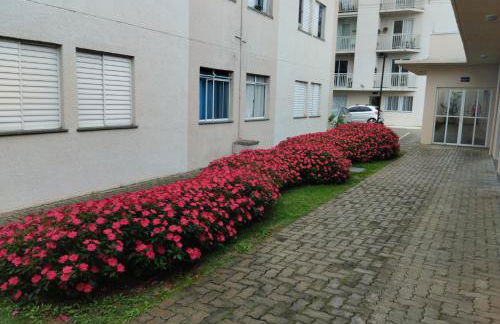 Alcimar Zuzo - Foto 12