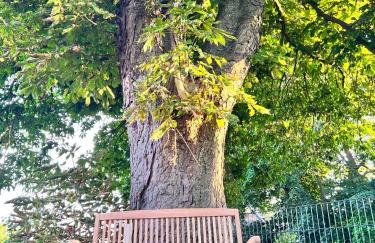 Ferienhaus Svantovit - exklusives Ferienhaus mit Sauna, Whirlpool-Wanne und Kamin - Foto 14