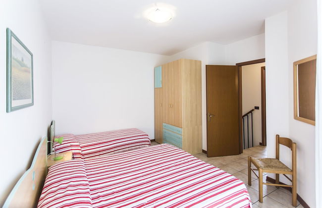 Calycanthus - Foto 6