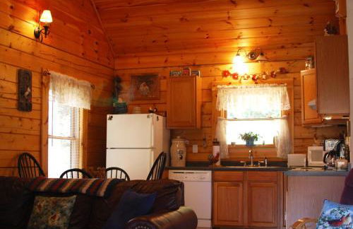 Blueberry Hill Cabin-Private, secluded cabin with a fireplace and New Hot Tub 2025 - Foto 15