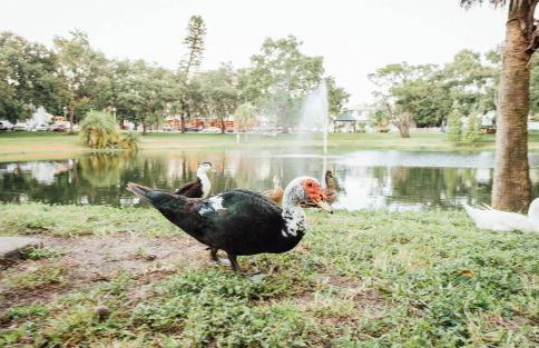 Stay Inspired | Cozy Artist Loft, Walkable & Artsy - Foto 20