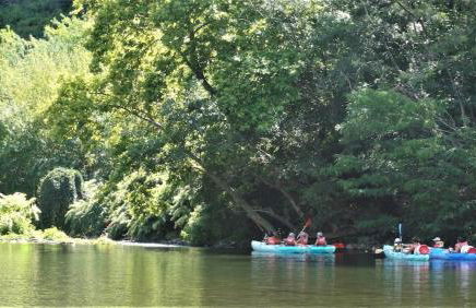 Villa historique à Berrias-et-Casteljau, 350 m² avec piscine privée - Foto 50