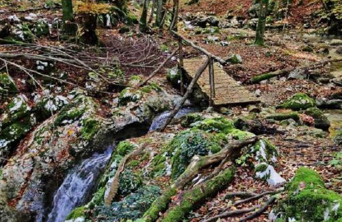Villa in Lupoglav With Pool Near the Sea - Foto 68