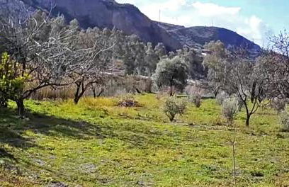 Cortijo AguaChá - Foto 33