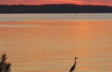 Ferienwohnungen Traumlage - Foto 29