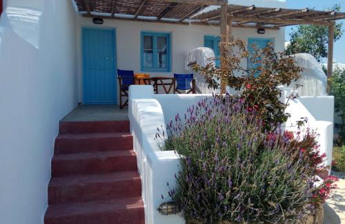 Ammos Studio - Foto 17