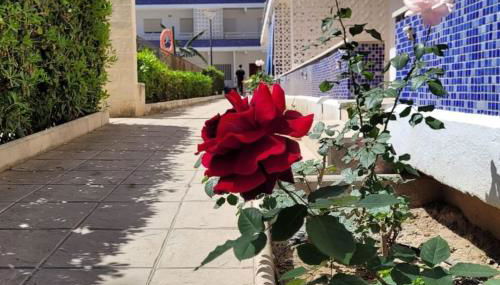 Apartamento Playa Piles -Familias- - Foto 3