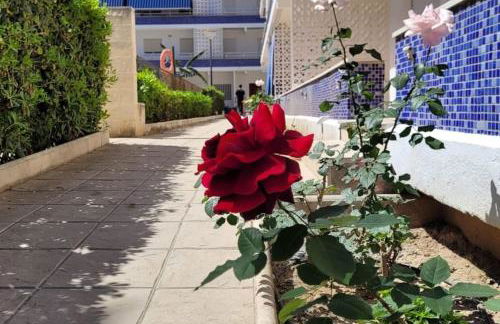 Apartamento Playa Piles -Familias- - Foto 3