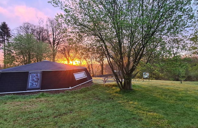 Etape en forêt - Foto 8