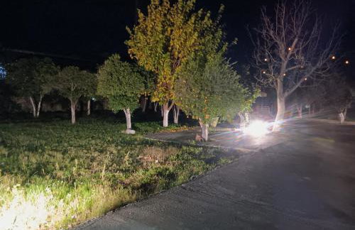 ΆΘΟΣ (ATHOS) - Foto 23