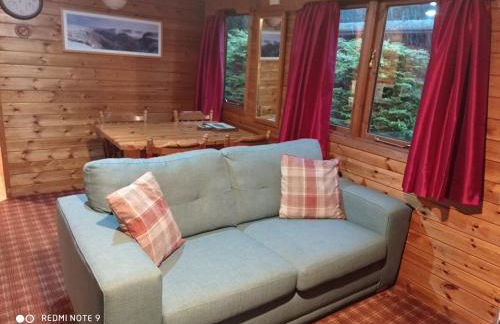 Lurchers Cabin Aviemore - Foto 20