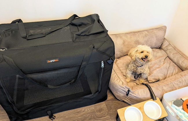 B/C APARTMENT Asakusa Hanazono Dori Hotel with Rental Car and Sauna - Foto 6