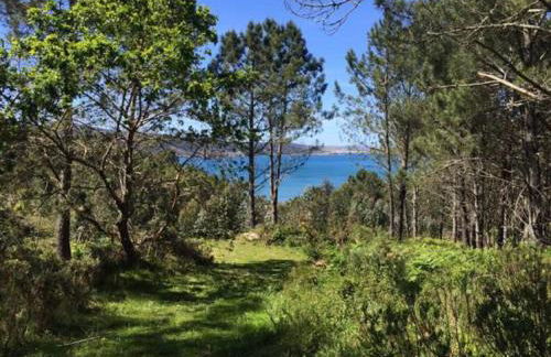 A Casa de Lelo - Foto 30