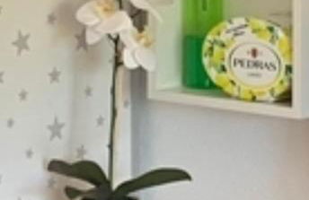 Apartaestudio Villanueva del Trabuco - Photo 11