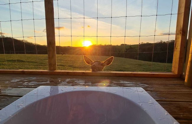 Luxury Safari Lodge Surrounded by Deer!! 'fallow' - Foto 27